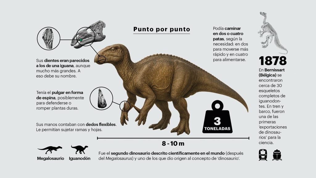 infografía iguanodonte