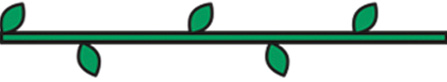 ilustración del tallo de una planta